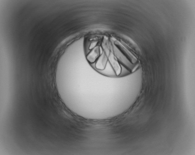 X0000114181112200910081128