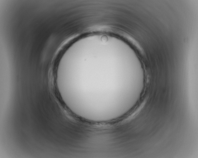 X0000114181117200910081128
