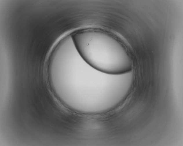 X0000114181118200910081128