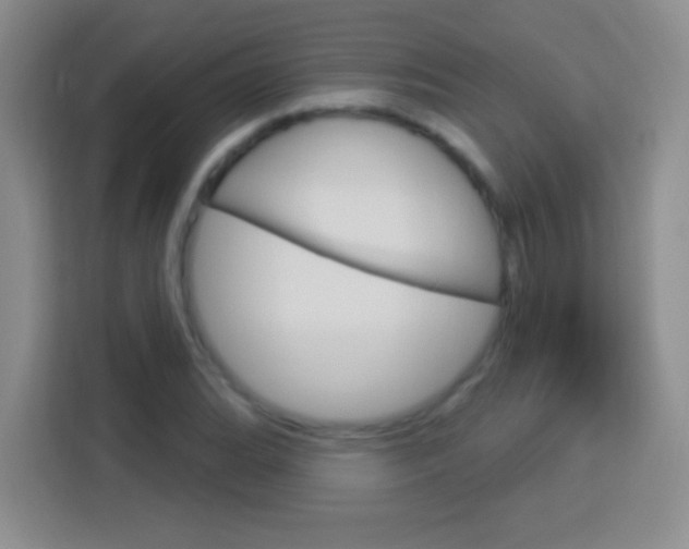X0000114181119200910081128