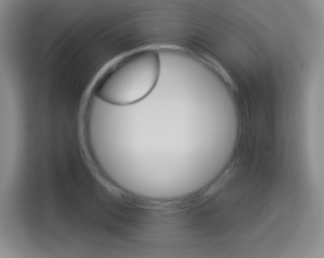 X0000114181124200910081128
