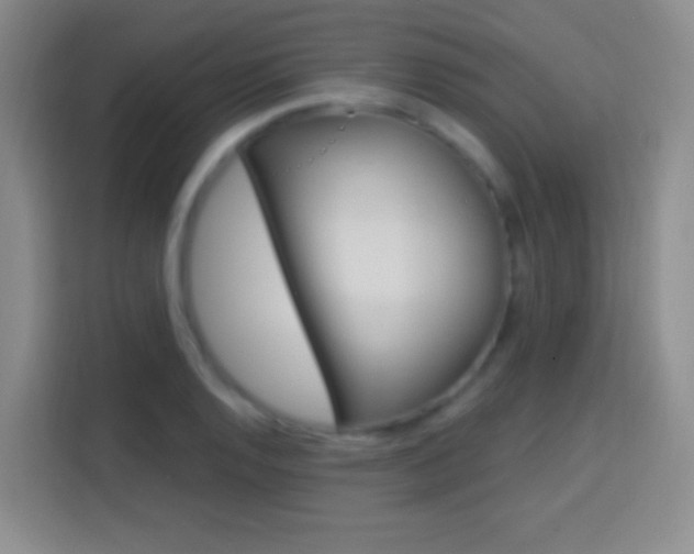 X0000114181128200910081128