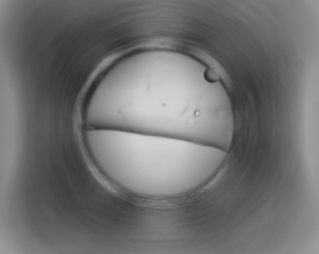 X0000114181131200910081128