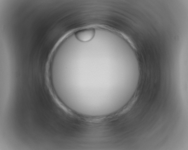 X0000114181134200910081128