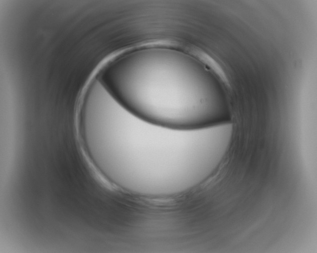 X0000114181140200910081128