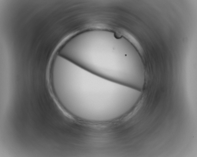 X0000114181141200910081128