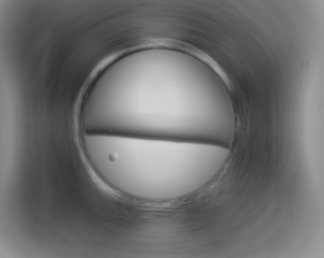 X0000114181143200910081128