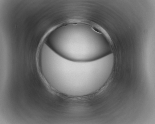 X0000114181146200910081128