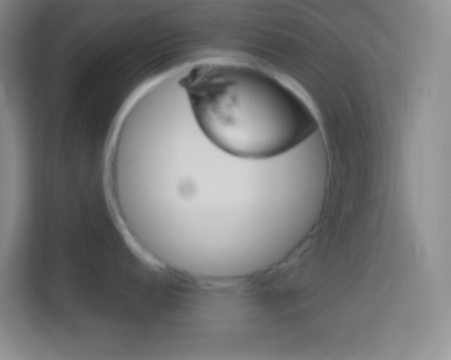 X0000114181152200910081128