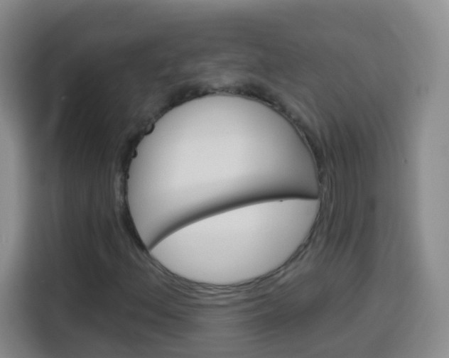 X0000114181156200910081127