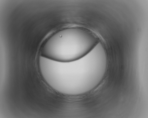 X0000114181173200910081127