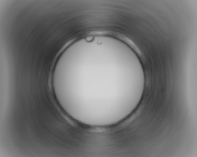 X0000114181186200910081127