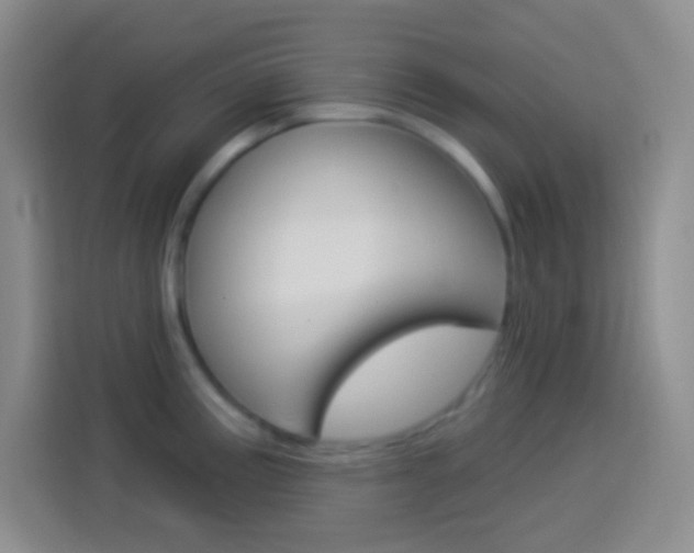 X0000114181195200910081127