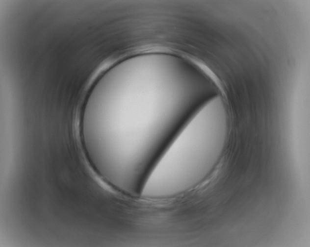 X0000114181197200910081127