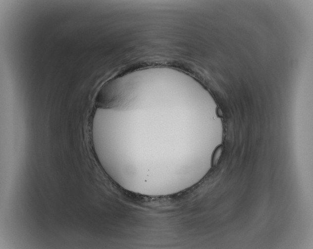 X0000114181201200910081126