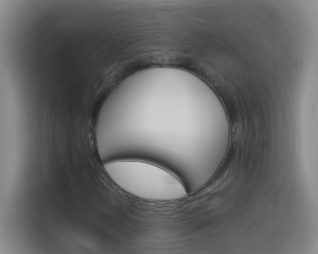 X0000114181202200910081126