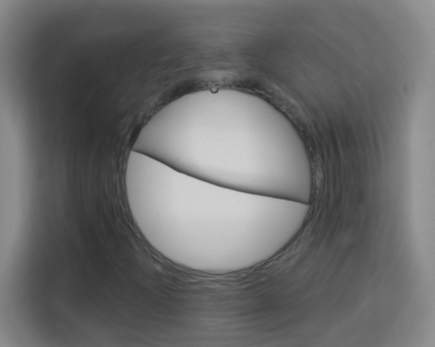 X0000114181204200910081126