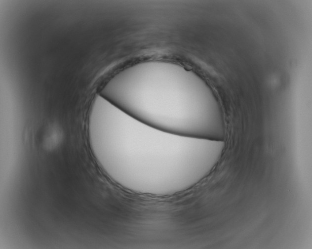 X0000114181206200910081126