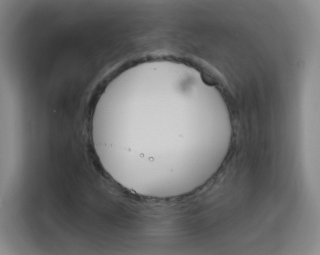X0000114181207200910081126