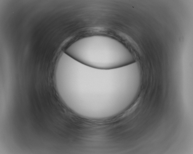 X0000114181210200910081126