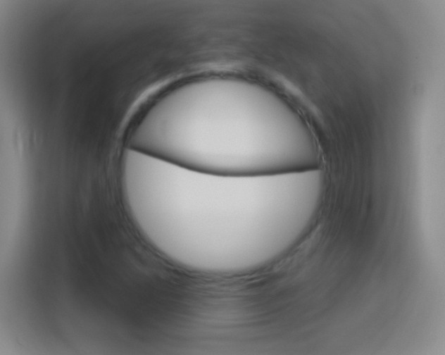 X0000114181214200910081126