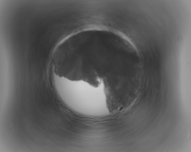 X0000114181215200910081126