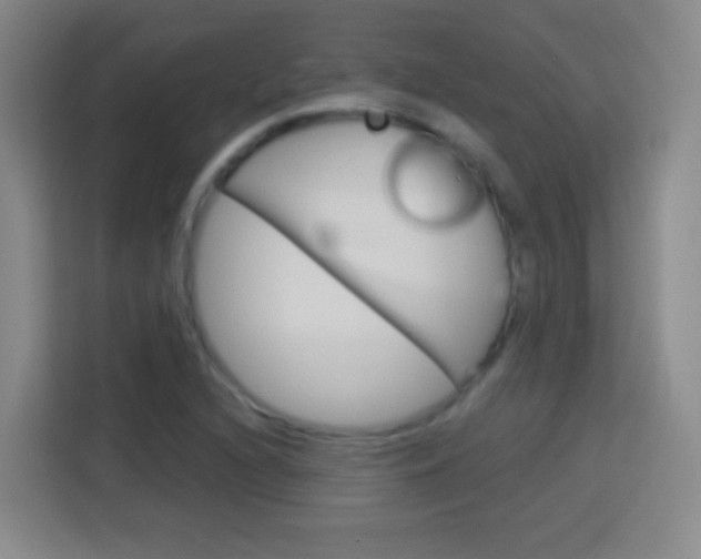 X0000114181216200910081126