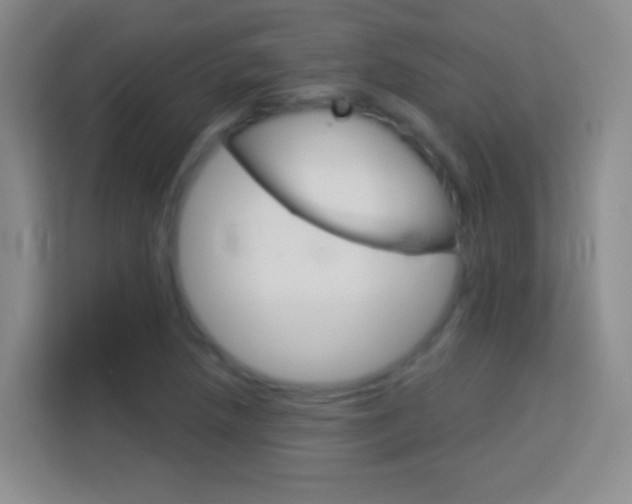 X0000114181218200910081126