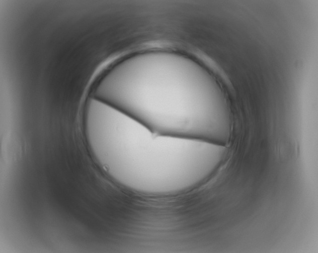 X0000114181222200910081127