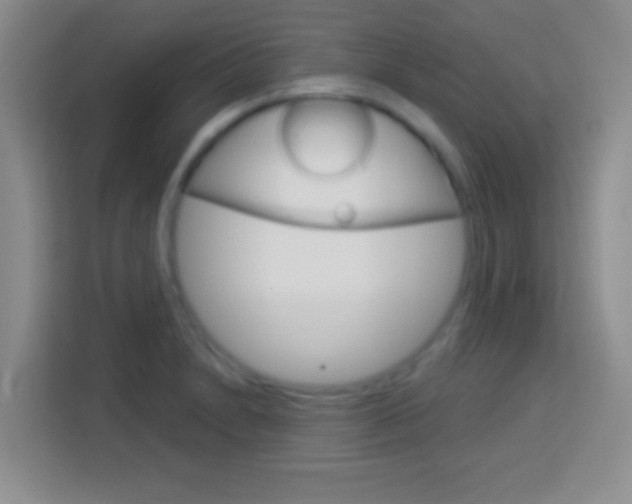 X0000114181230200910081127