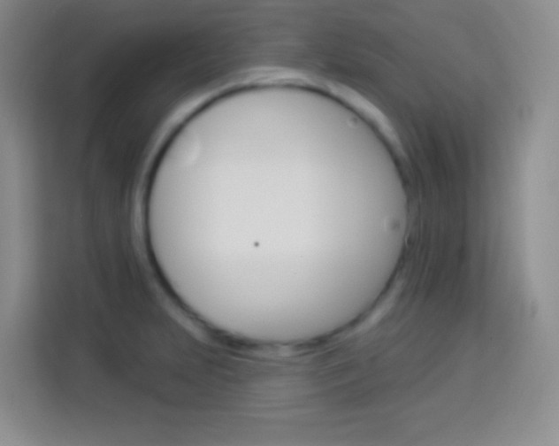 X0000114181231200910081127