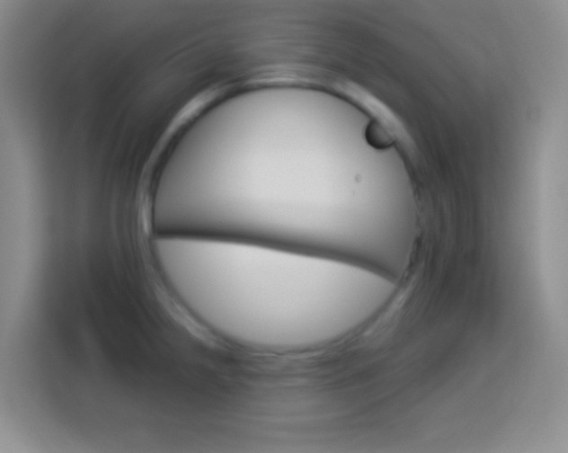 X0000114181238200910081127