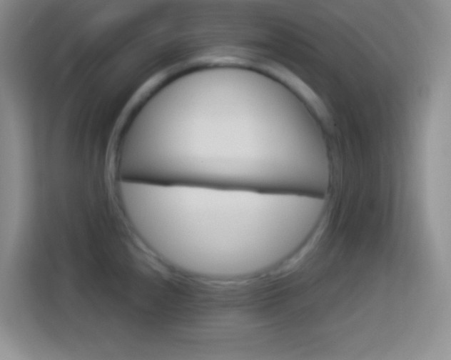X0000114181240200910081127