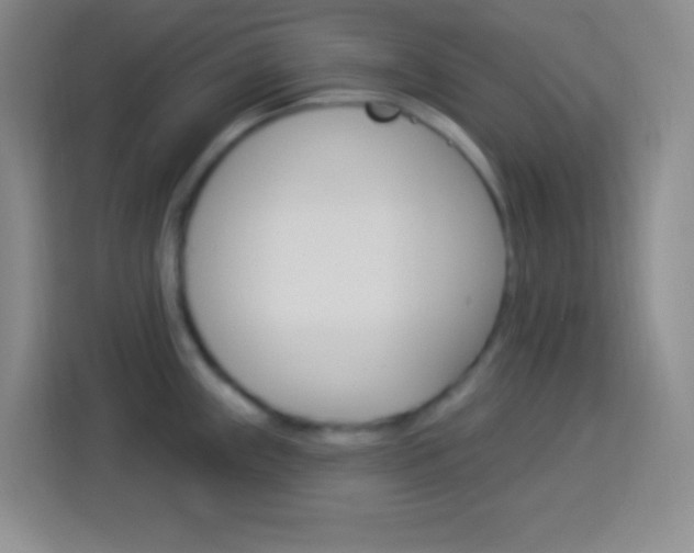 X0000114181243200910081127
