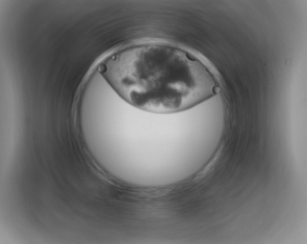 X0000114181246200910081127