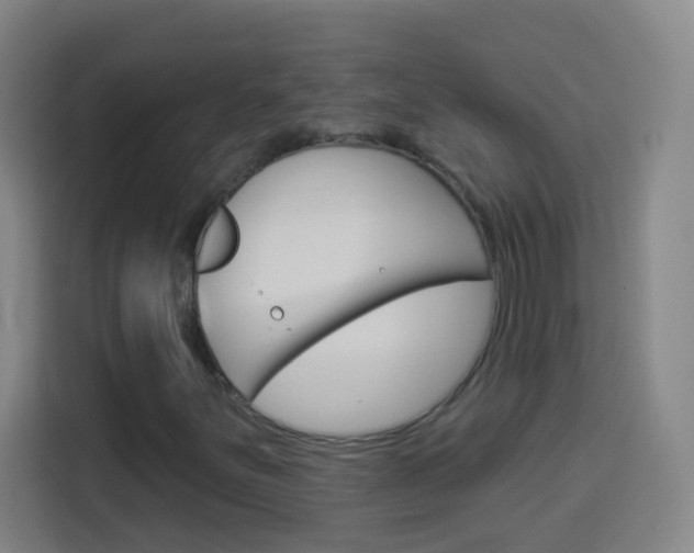 X0000114181251200910081126