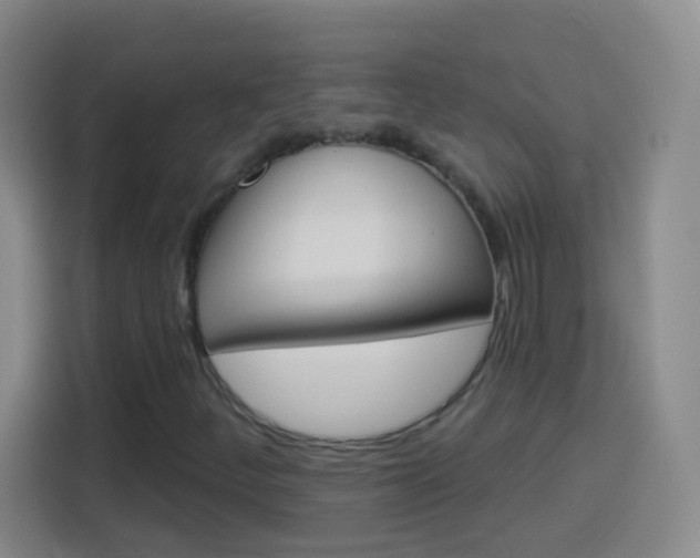 X0000114181252200910081126