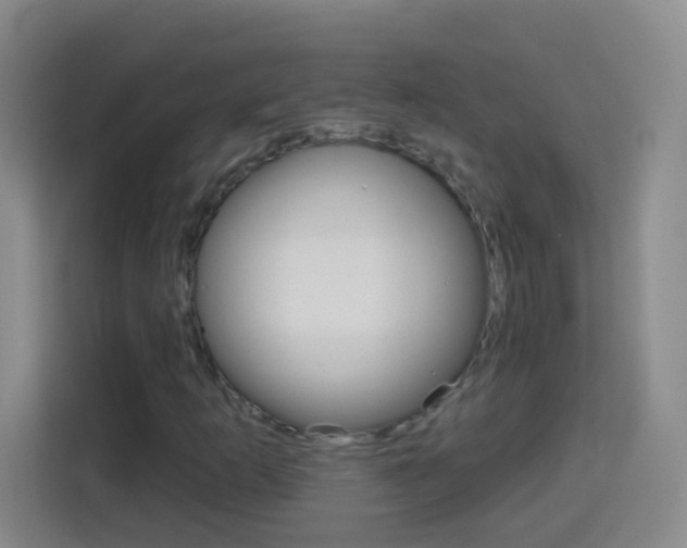 X0000114181253200910081126