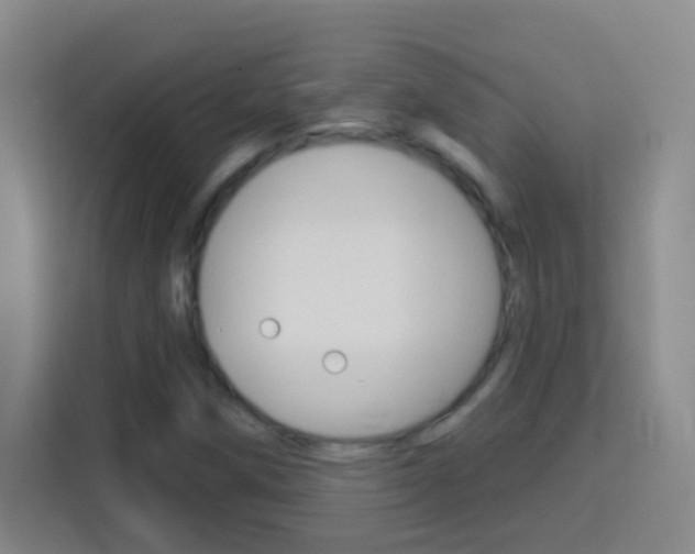X0000114181258200910081126