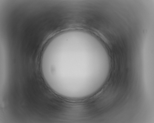 X0000114181261200910081126