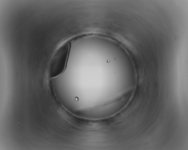 X0000114181264200910081126