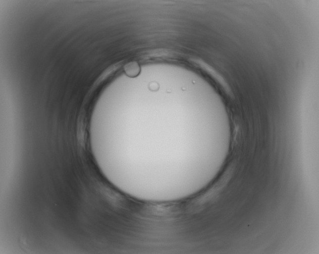 X0000114181266200910081126