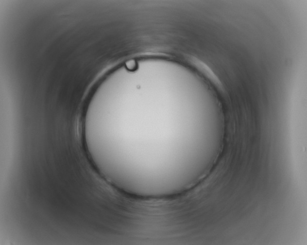 X0000114181268200910081126