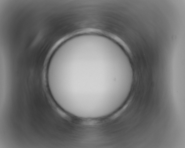 X0000114181278200910081126