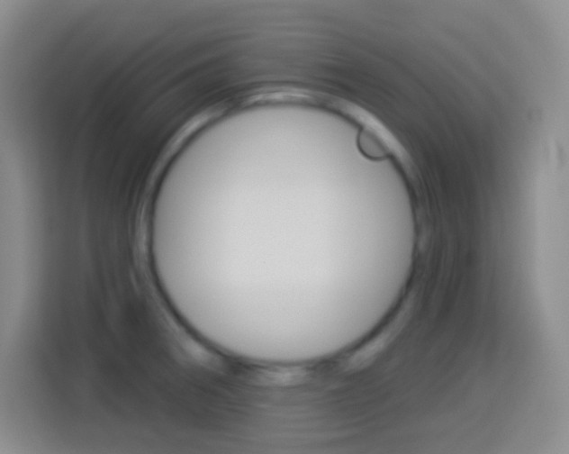 X0000114181282200910081126