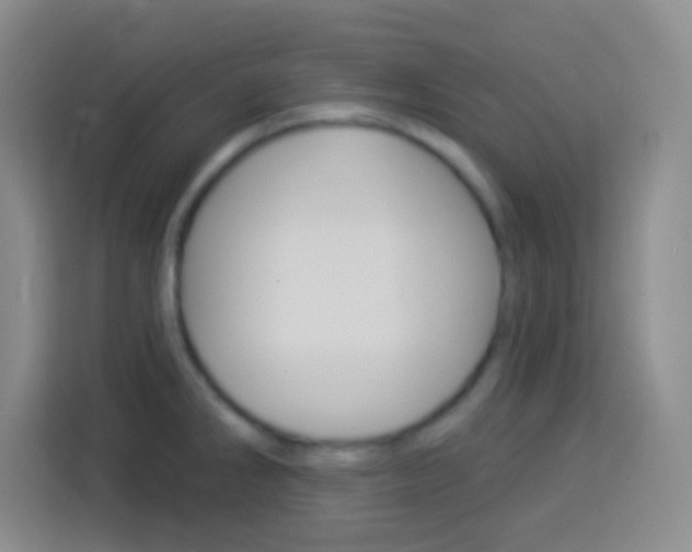 X0000114181286200910081126