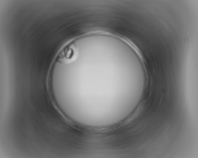 X0000114181293200910081126