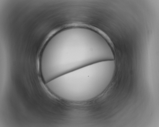 X0000114181295200910081126