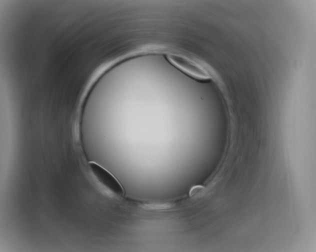 X0000114181296200910081126