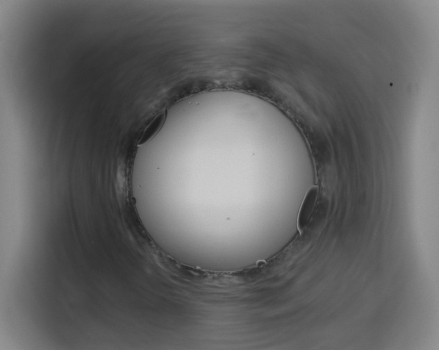 X0000114181298200910081125